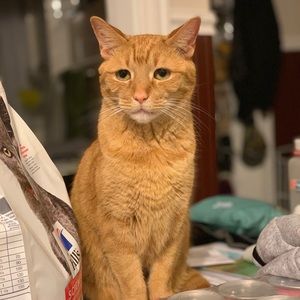 Meet your Posher, Julie